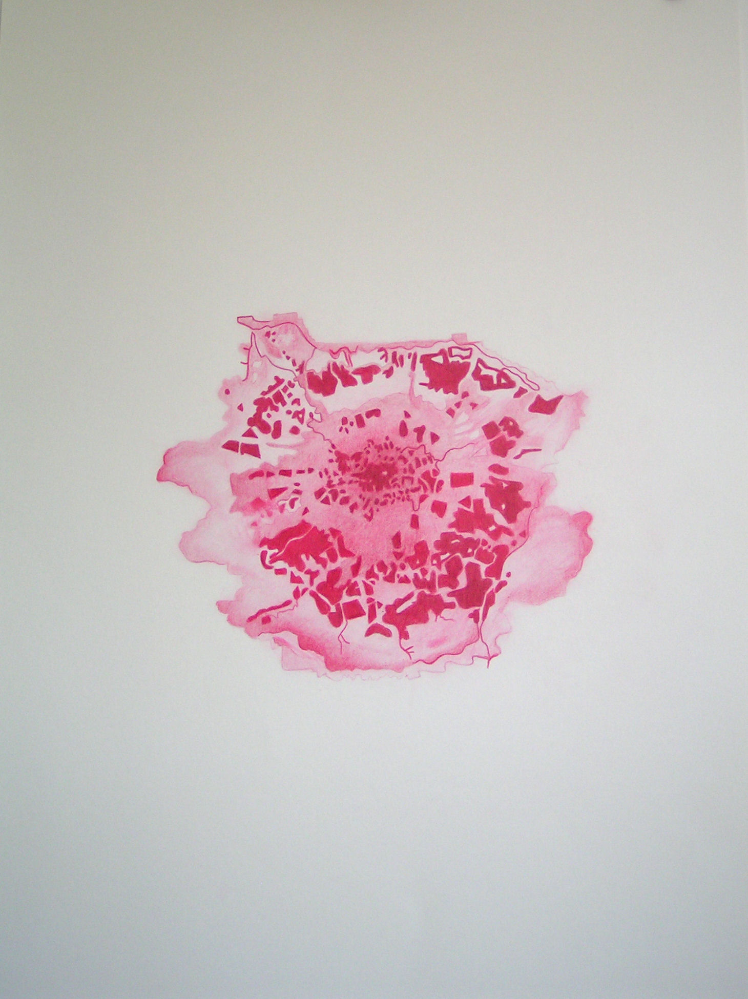 Emma J Williams 'Blooming London Series - Pink Carmine' 2008 pencil on paper