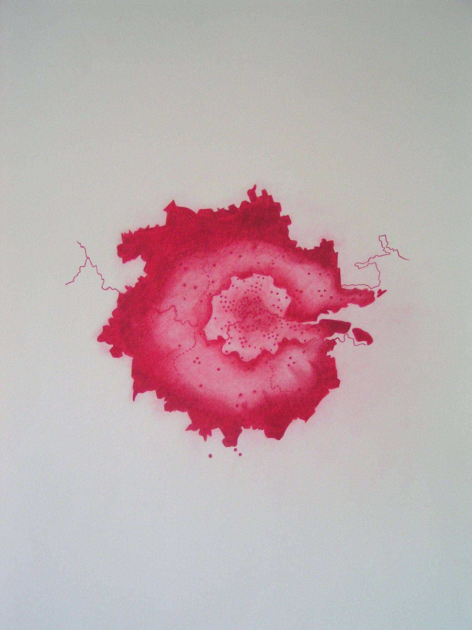 Emma J Williams 'Blooming London Series - Crimson' 2008 pencil on paper