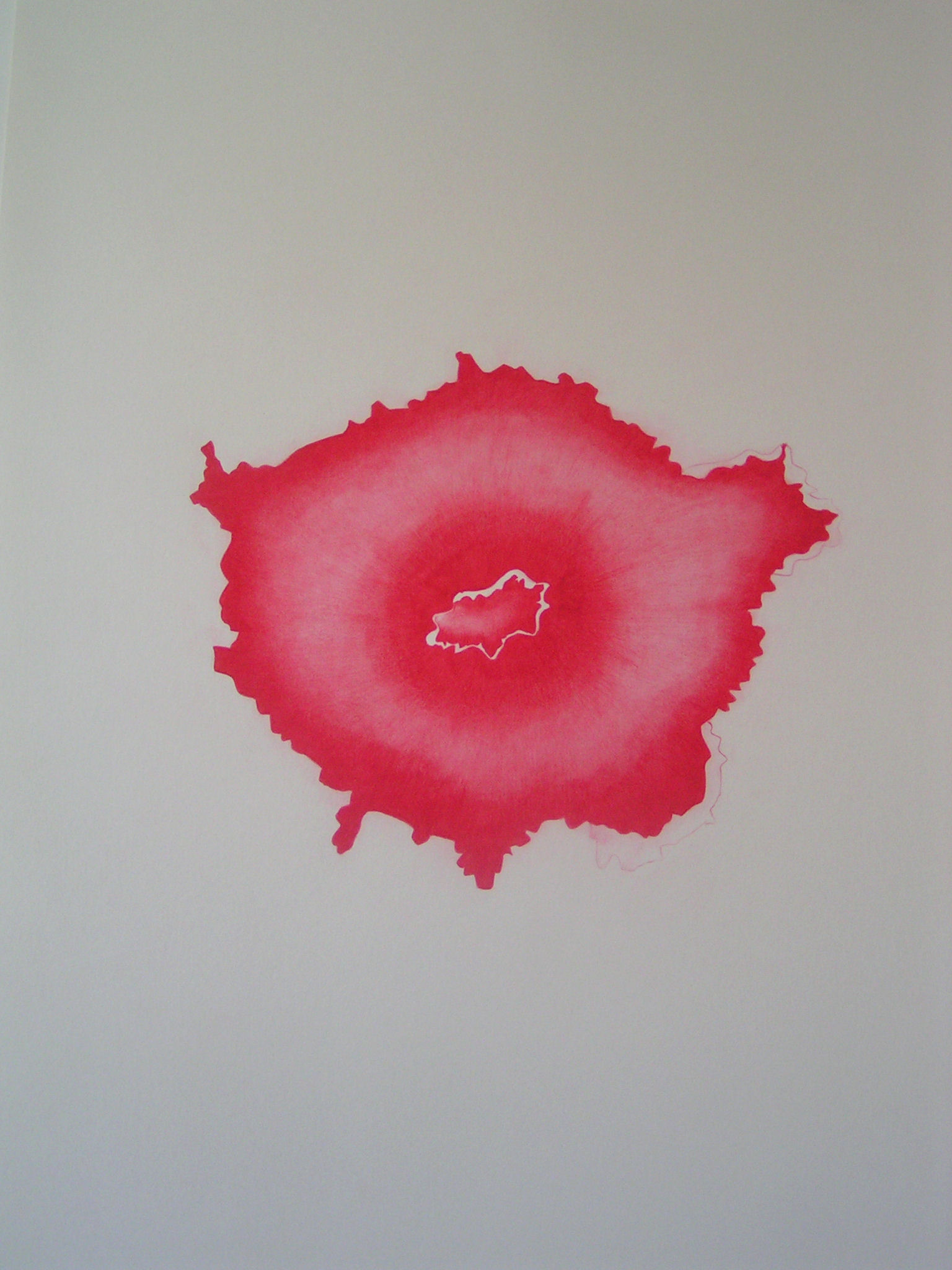 Emma J Williams 'Blooming London Series - Deep Scarlet Red' 2008 pencil on paper