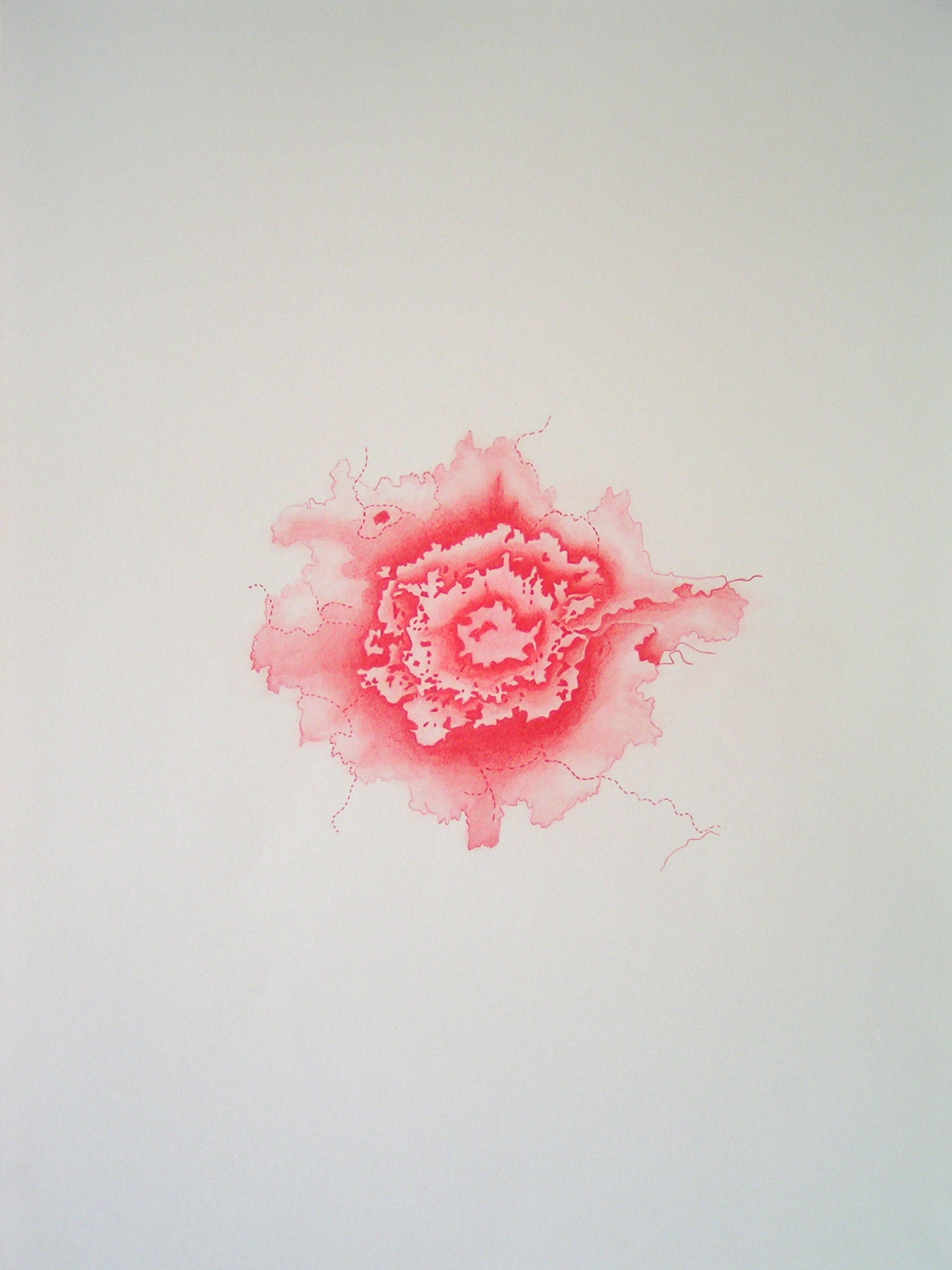 Emma J Williams 'Blooming London Series - Pale Geranium Lake' 2008 pencil on paper