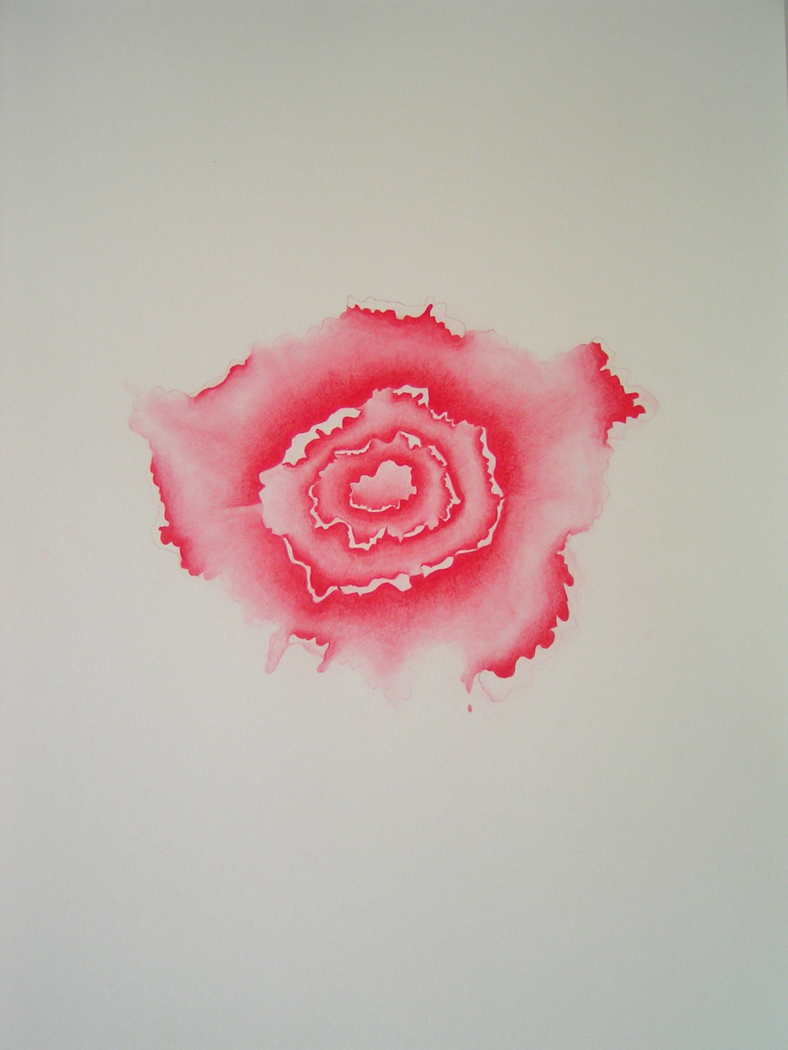Emma J Williams 'Blooming London Series - Deep Red' 2008 pencil on paper