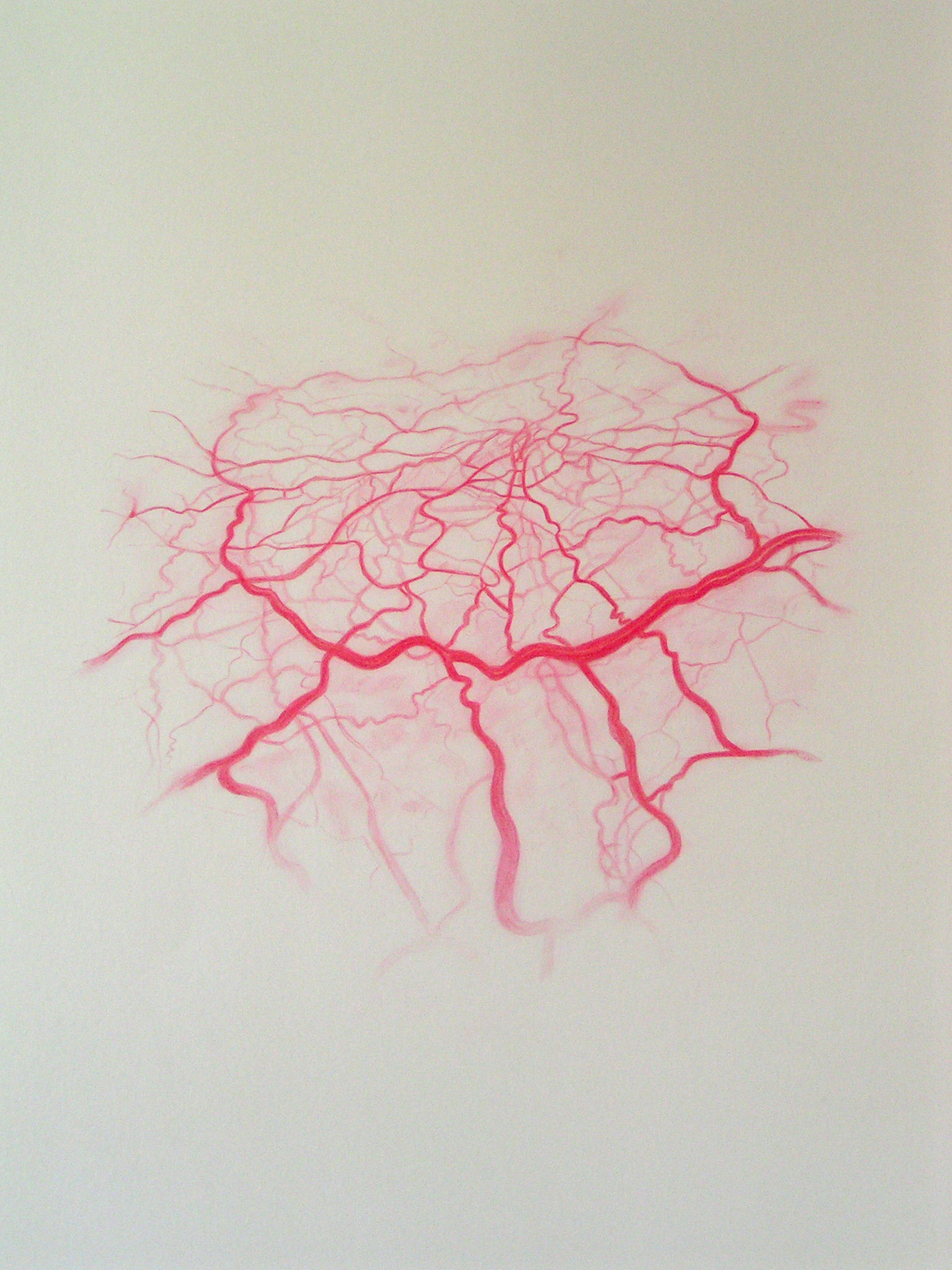 Emma J Williams 'Untitled Red Drawing No.11' 2008 pencil on paper