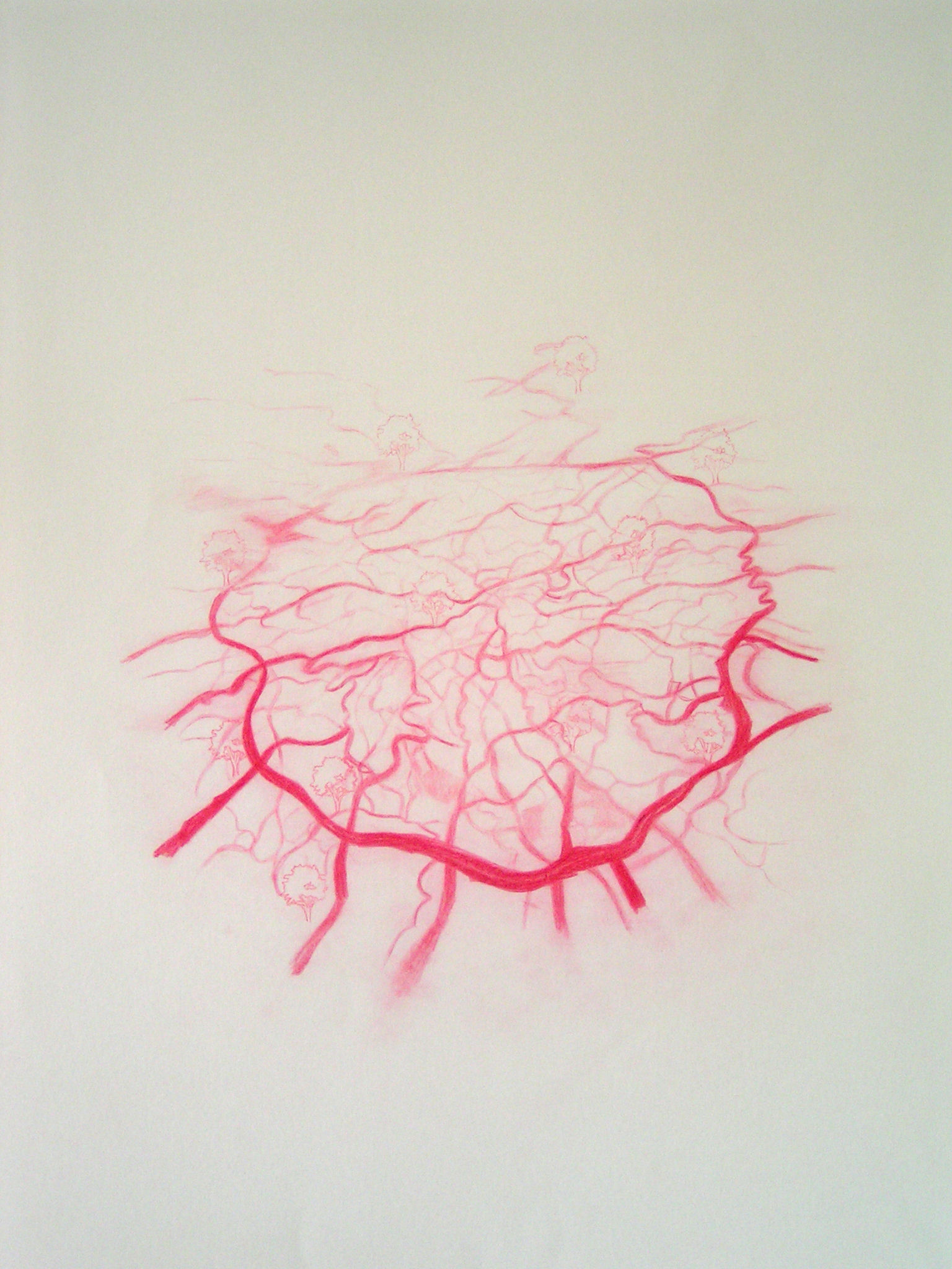 Emma J Williams 'Untitled Red Drawing No.2' pencil on paper