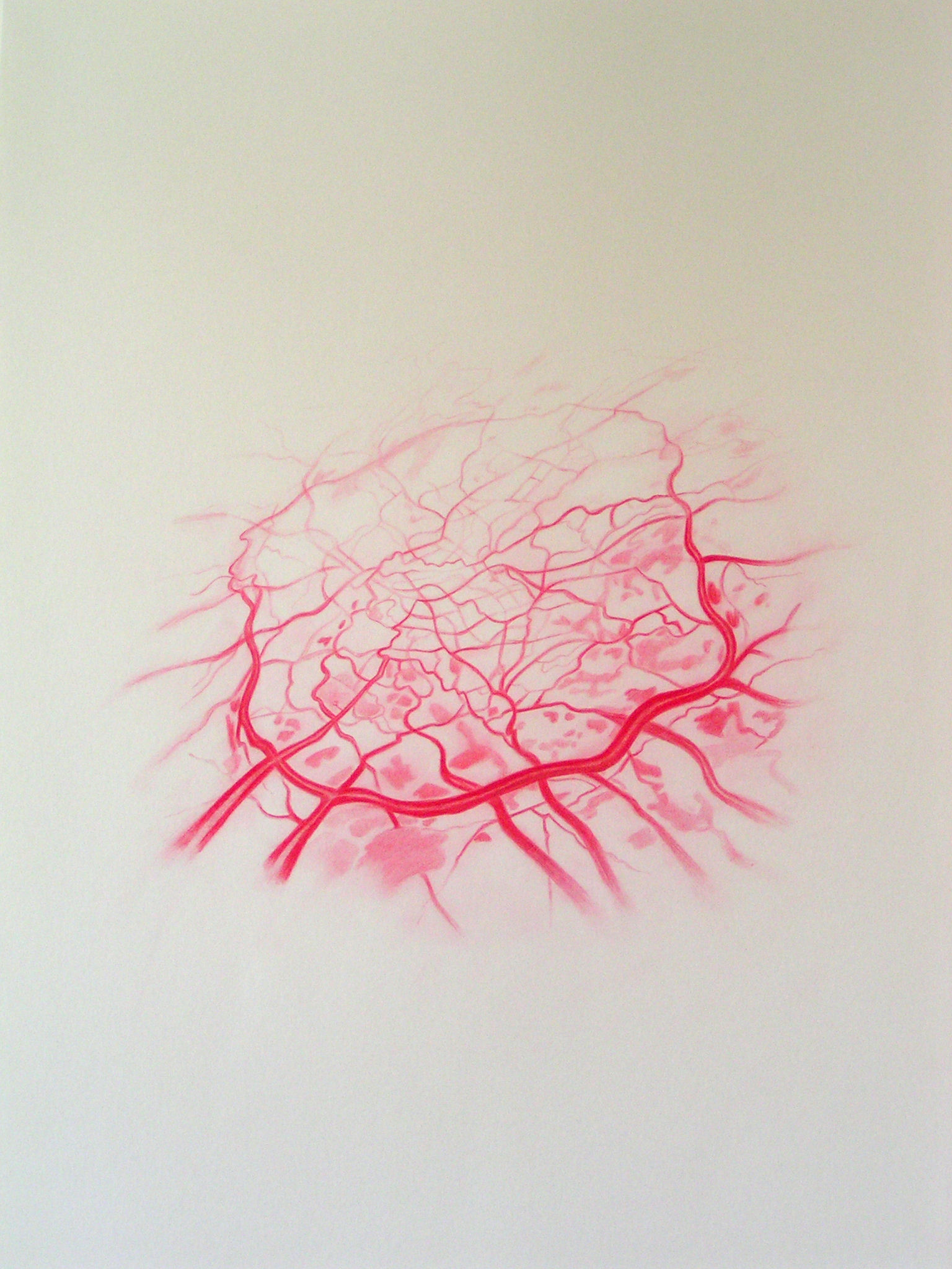 Emma J Williams 'Untitled Red Drawing No.8' 2008 pencil on paper