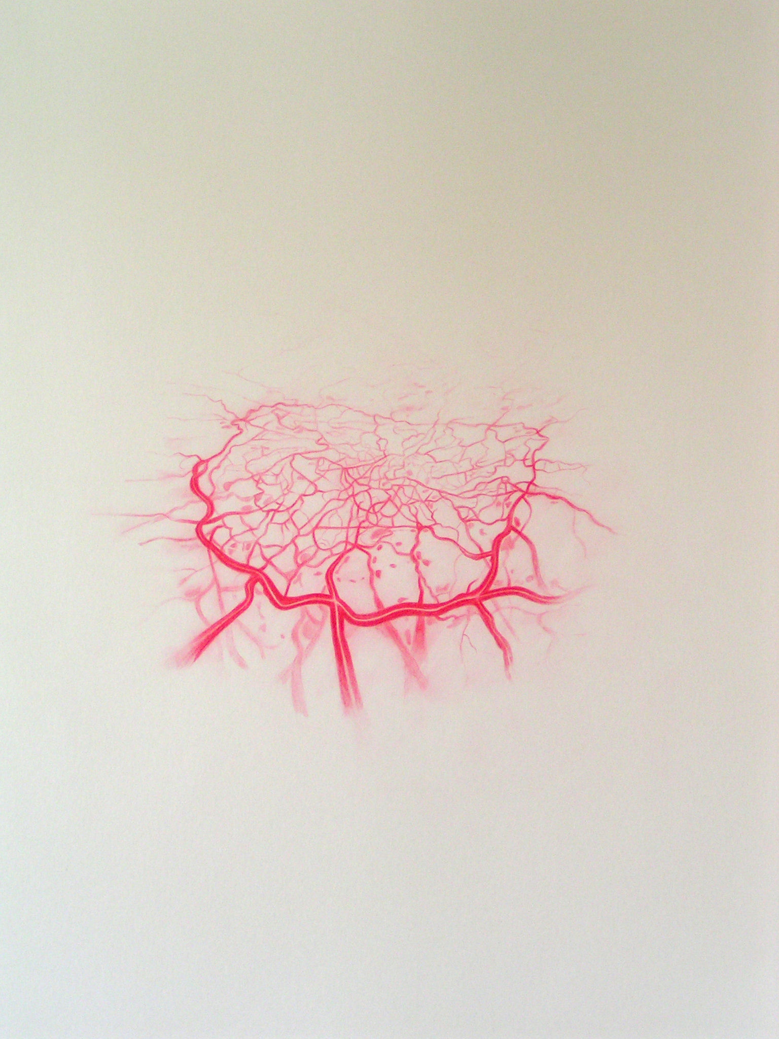 Emma J Williams 'Untitled Red Drawing No.9' 2008 pencil on paper